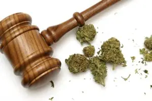 Drug Possession Overview